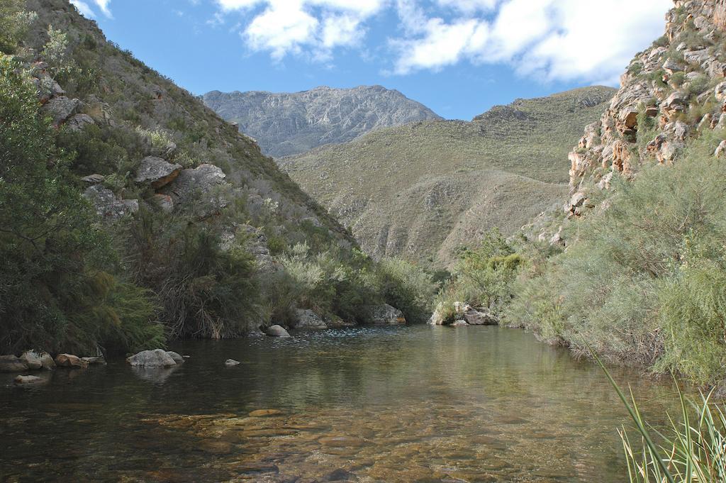 The Retreat At Groenfontein Calitzdorp Exteriér fotografie